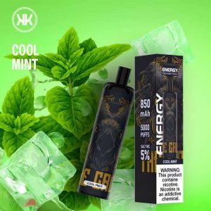ENERGY Disposable 5000 puffs Rechargeable