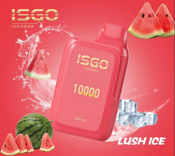 ISGO Bar 10000 Puffs Disposables Vape 50mg