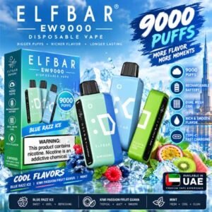 Elf Bar EW9000 Puffs