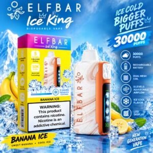 Elf Bar Ice King